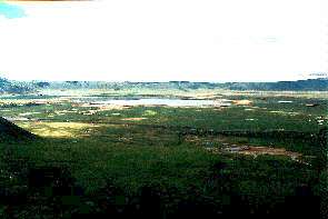 Blick in den Ngorongoro Krater. View of the Ngorongoro crater.